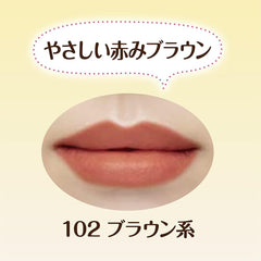 Cezanne Lasting Lip Color N102