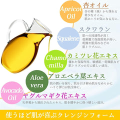 Kokoro Facial Cleansing Foam, Made in France, Organic Apricot Oil Blended, Cleansing Foam, Apricot Kernel Oil, France, Organic Kokoro Cosmetics, Kichijoji Basic Cosmetics