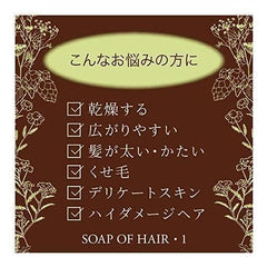 Easy to gather hair Soap of hair 1 Big bottle 625 ml Birch Fragrance Ofcosmetics curly hair, hard hair, and dryness