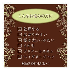 Easy to gather hair Soap of hair 1 Big bottle 625 ml Birch Fragrance Ofcosmetics curly hair, hard hair, and dryness