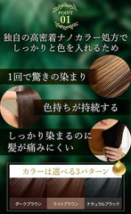 Biseno Hair Color Treatment Dark Brown