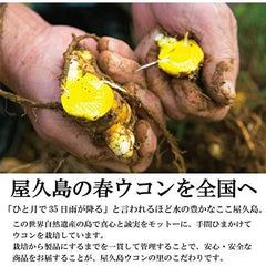 屋久島 Spring 300 Turmeric Whole Set of 2 approx. 2 Months Minutes