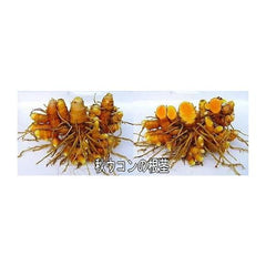 Yakushima Autumn Turmeric 600 grains Autumn Turmeric tablet cultivated for pesticide-free and chemical-free fertilizers