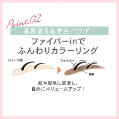 [Japanese Eyebrow] New Born Chip Powder Eyebrow EX02 1 x 4 Powder Pencil Brush Eyebrow Mascara WP (Waterproof) Softly colored natural beautiful eyebrows 02 Natural Brown