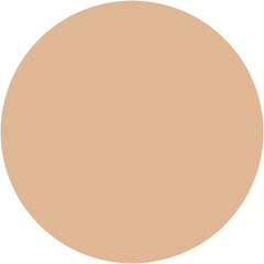 ELSIA ELSIA Platinum Quick Finish BB White UV Standard Skin Color 02 35g