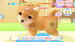 [Japanese Nintendo Switch] Wanyan Pet Shop Every day with cute pets - Switch