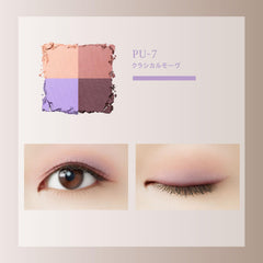 Visee Nuance Matte Creator 003 Chestnut Brown 5g Powder