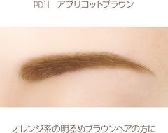 [Japanese Eyebrow] Excel Powder   Pencil Eyebrow EXPD01 (Natural Brown) Eyebrow Pencil Eyebrow Brush Eyebrow Powder