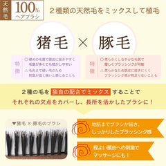 BETH EXC12 (Made in Japan) Made by a Long-established Commercial Manufacturer 100% Natural Hair (Pig Hair/Boar Hair Mix) Brush (S Type Pig/Boar Hair Mix)