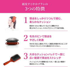 S Heart, S Heart, Scalp Healthy, Hair Brush, S Heart, Official Beauty Book Included