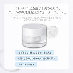 CLEAR WELLNESS WHIP FOR SNOW SURFACE shield cream 1 x 40g body