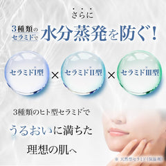 Kobayashi Pharmaceutical mail order Hifumido Essence Lotion (moisturizing lotion) (120ml)