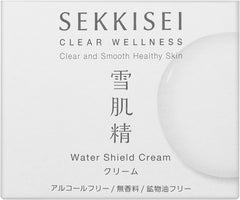 CLEAR WELLNESS WHIP FOR SNOW SURFACE shield cream 1 x 40g body