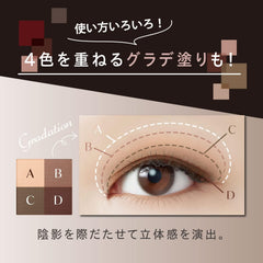 Visee Nuance Matte Creator 003 Chestnut Brown 5g Powder