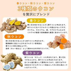 REIKO Supplement Contains 300 fermented turmeric grains No pouch added for 1 month additive-free spring turmeric purplish turmeric fermentation Made in Okinawa Prefecture