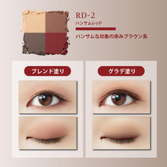 Visee Nuance Matte Creator 003 Chestnut Brown 5g Powder