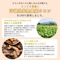 REIKO Supplement Contains 300 fermented turmeric grains No pouch added for 1 month additive-free spring turmeric purplish turmeric fermentation Made in Okinawa Prefecture