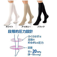 Terumo JP-LWS10KLVR High Socks Job Stritwear Ivory L