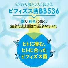 BB53610 billion bifidobacteria supplements FUNCTIONALLY LABELED FOOD improvement of intestinal environment adjust one's stomach Biffy Plus 10031 tablets for approximately 1 month