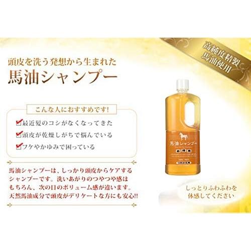 Azuma Shoji Imabari Towel Included Horse Oil Shampoo Refill 33.8 fl oz (1000 ml) / Travel Beauty Bayu Hair Oil Feels Like Wearing