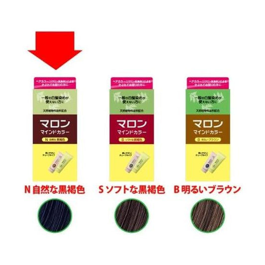 Maroon Mind Color N (Natural blackish brown) 3 Pack