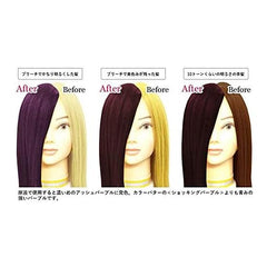 Color Butter, Ash Purple, 7.1 oz (200 g), 4 Piece Hair Dye Kit Included