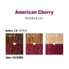 ANAP Color Treatment Pouch, 14.1 oz (400 g), American Cherry