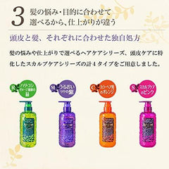 Rêveur 4-Color Shampoo N, 16.9 fl oz (500 ml), Set of 3