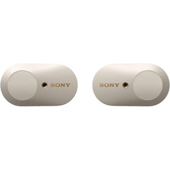 Sony WF-1000XM3 Wireless Noise Cancelling Earbuds, Fully Wireless, Amazon Alexa, Bluetooth, High Resolution Equivalent, Up to 6 Hours of Continuous Playback, 2019 Model / Microphone Included, 360 Reality Audio Certified Model Platinum Silver WF-1000XM3 SM