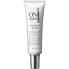 one day bb cream foundation all-in-one cream 30g