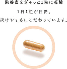 [Japanese Sports Supplements] Active Supplement + Biotin 60 tablets <Nutritional Functional Food/Biotin A nutritionally balanced supplement>