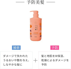 [Japanese Shampoo and Conditioner] Ichikami Dense Double Moisturizing Care Shampoo Conditioner Large Capacity Refill Set with Bonus | Non-Silicone Amino Acid Shampoo Hair Care Damage Care Men's Women's