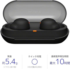 Sony WF-C500 WF-C500 WF-C500 BZ Fully Wireless Earbuds, Lightweight, Small 0.2 oz (5.4 g), High Precision Call Quality, Easy Pairing, IPX4 Splashproof Performance, Black