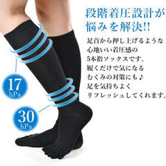 Camel's Socks, 1890 Five Toe Compression High Socks (All Seasons)