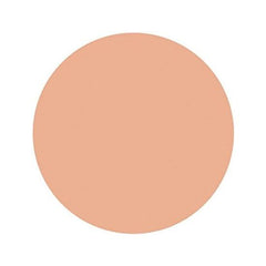 Shiseido Spots Cover Cream Foundation (Base Color) H100 20g