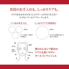 [Japanese Moisturizing] Grace One Wrinkle Care Moist Gel Cream 100g Moisturizing (Wrinkle Improvement All-in-One Gel)