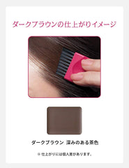 Hair Foundation darkbrown