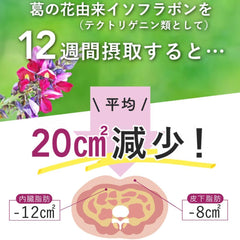 DMJ Egao Life Smartism 31 days 62 tablets Made in Japan Food with functional claims Belly fat Subcutaneous fat Visceral fat Weight Bowel movements Lactic acid bacteria supplement 1 bag