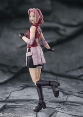 S.H. Figuarts Naruto Shippuden Haruno Sakura -Master Government-About 5.3 inches (135 mm), PVC   ABS Pre-painted Action Figure BAS63448