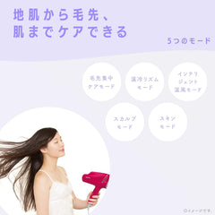 Panasonic NanoCare Hair Dryer