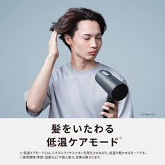 Panasonic EH-NE7L-H Dryer, Quick Drying, Large Airflow, Powerful Dry, Low Temperature Mode, Double Mineral Ion, Dark Gray