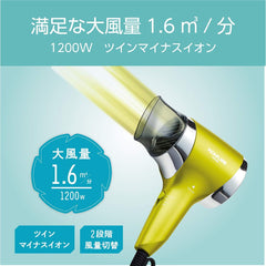 Koizumi KHD-9720/G Hair Dryer, Negative Ion Tough Dryer, Green