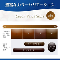 Hoyu Cielo Color Treatment (Dark Brown) 180g