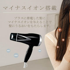 Koizumi KHD-9300/BK Hair Dryer, Minus Ions, Lightweight Type, Black, Monochrome