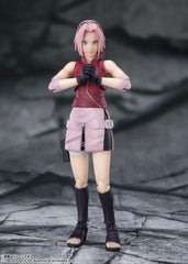 S.H. Figuarts Naruto Shippuden Haruno Sakura -Master Government-About 5.3 inches (135 mm), PVC   ABS Pre-painted Action Figure BAS63448