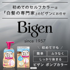 Bigen Pump Color Refill 5 Brown