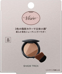 Visee BR300 Trick Shades Medium Brown, 0.3 oz (8.5 g), Shading, Bronzer, Skeleton Shading, Includes Dedicated Brush