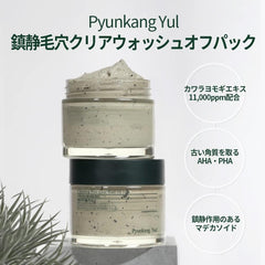 PYUNKANG YUL Calming Pore Clear Wash-Off Pack, 3.4 fl oz (100 ml), Cleansing Pores and Skin Stains, Pore Care, Skin Oil Control, Popular Korean Skin Care, Green Bean Extract, Green Tea Powder, Deer