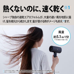 Sharp IB-P801-B Plasmacluster Beauty Dryer, Midnight Black, Quick Drying, Aero Form, Large Airflow, Static Control