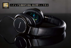 Panasonic RP-HD10-K Stereo Headphones Black